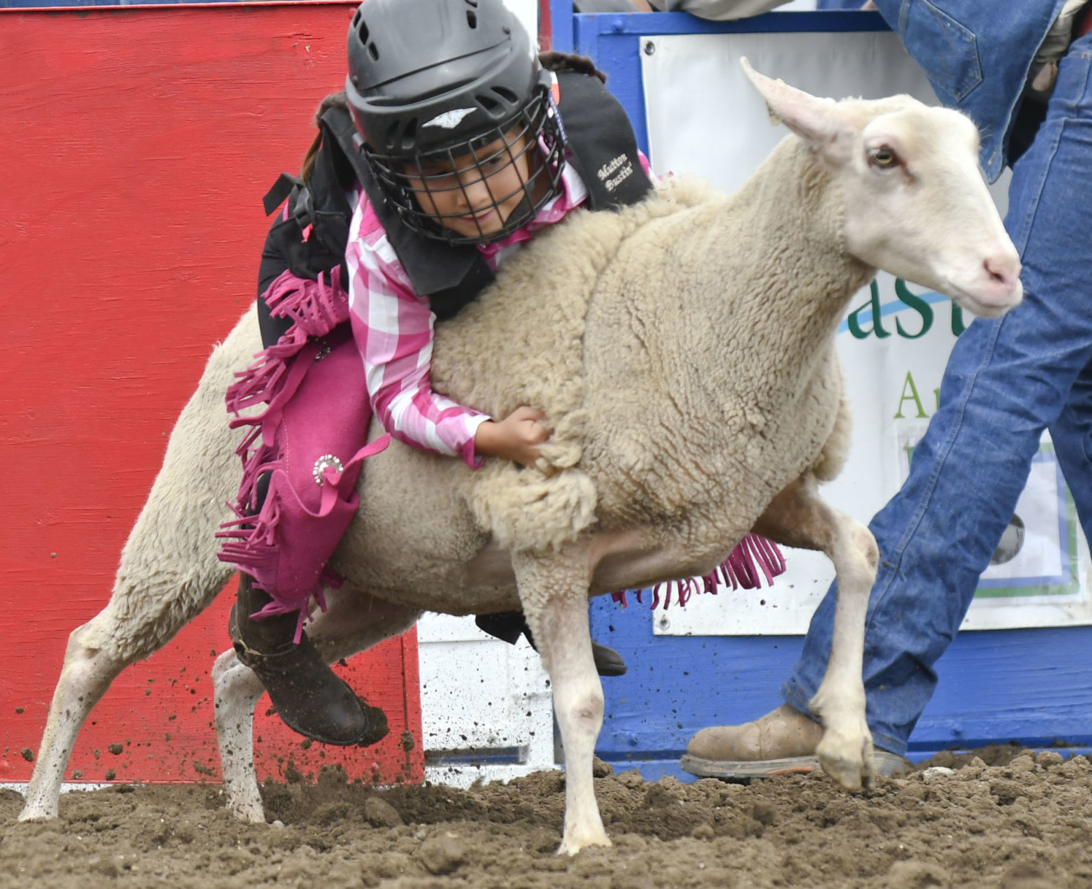 053019 Mini Rodeo news 26.jpg